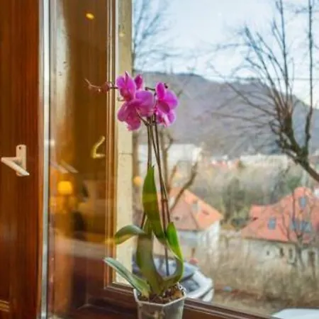 Central Park Residence Old Town * Брашов